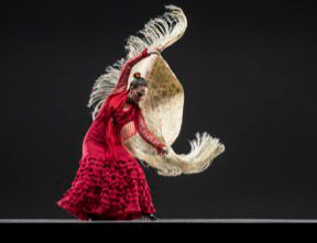 Photo thumbnail:Photo by RJ Muna